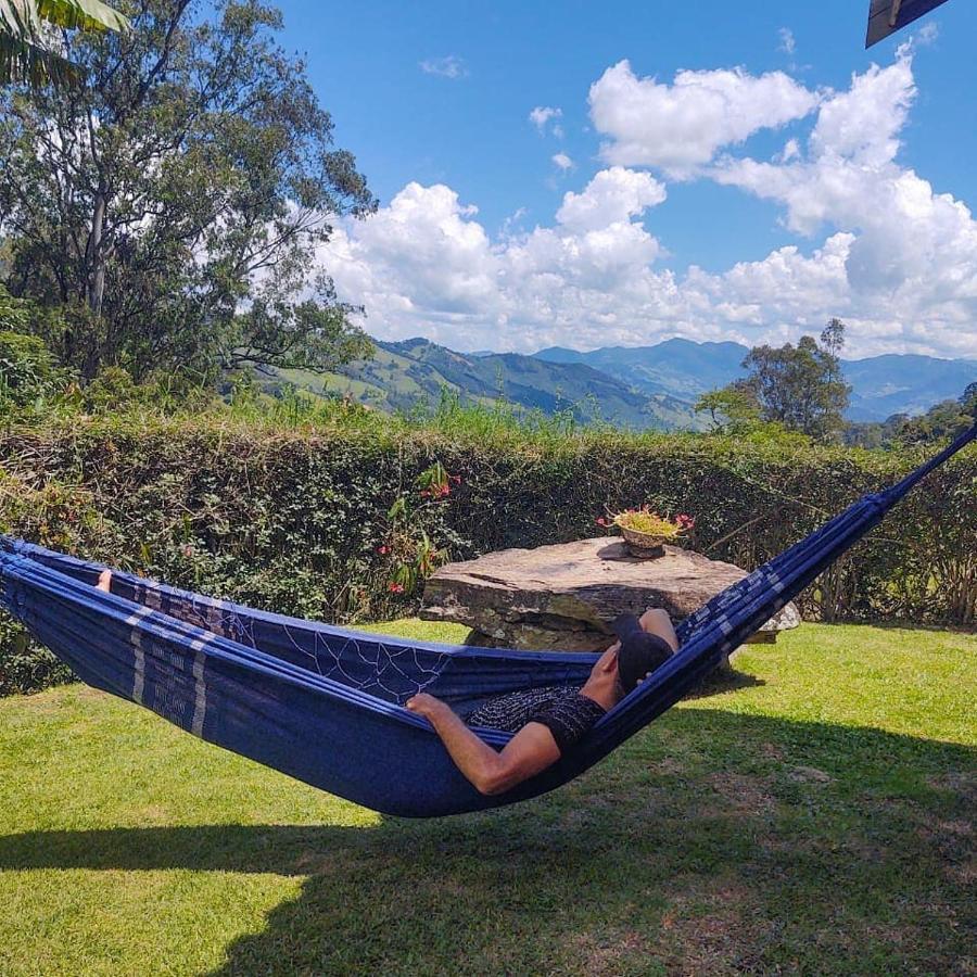 Double Room Mountain View