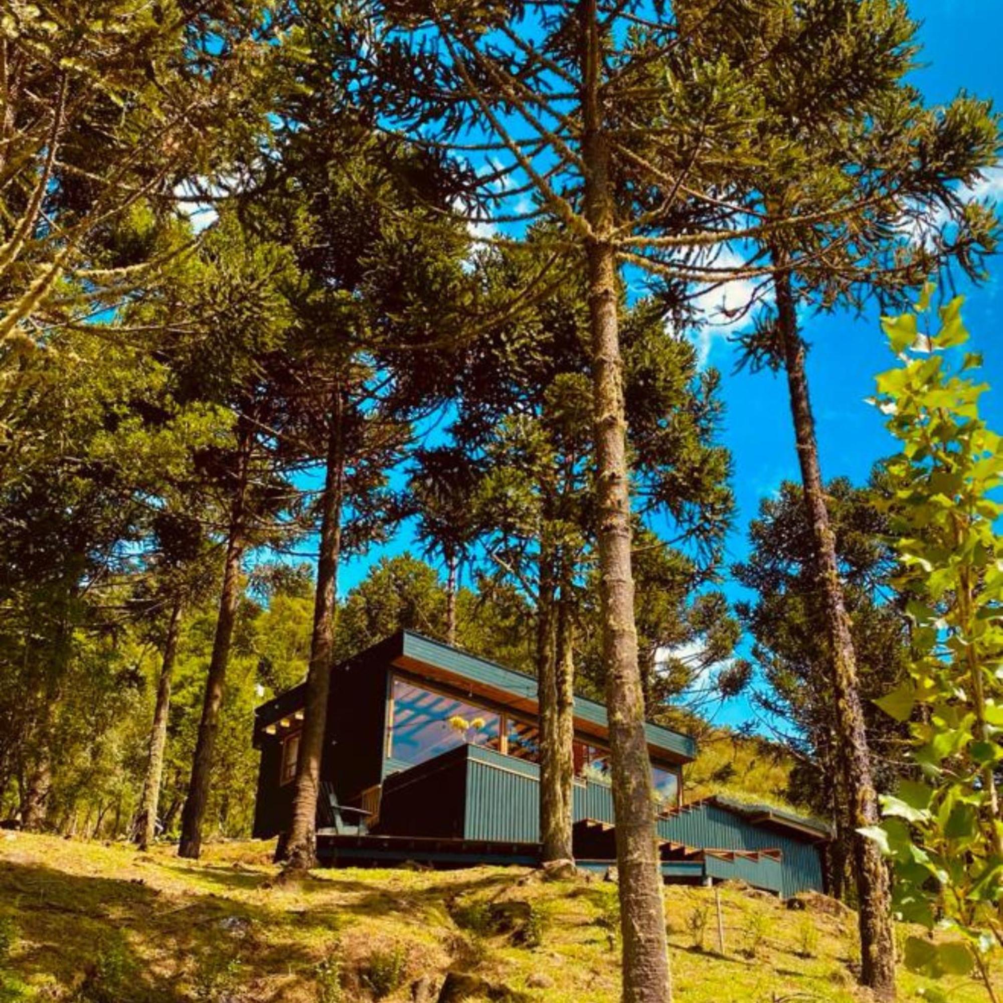 One-Bedroom Chalet