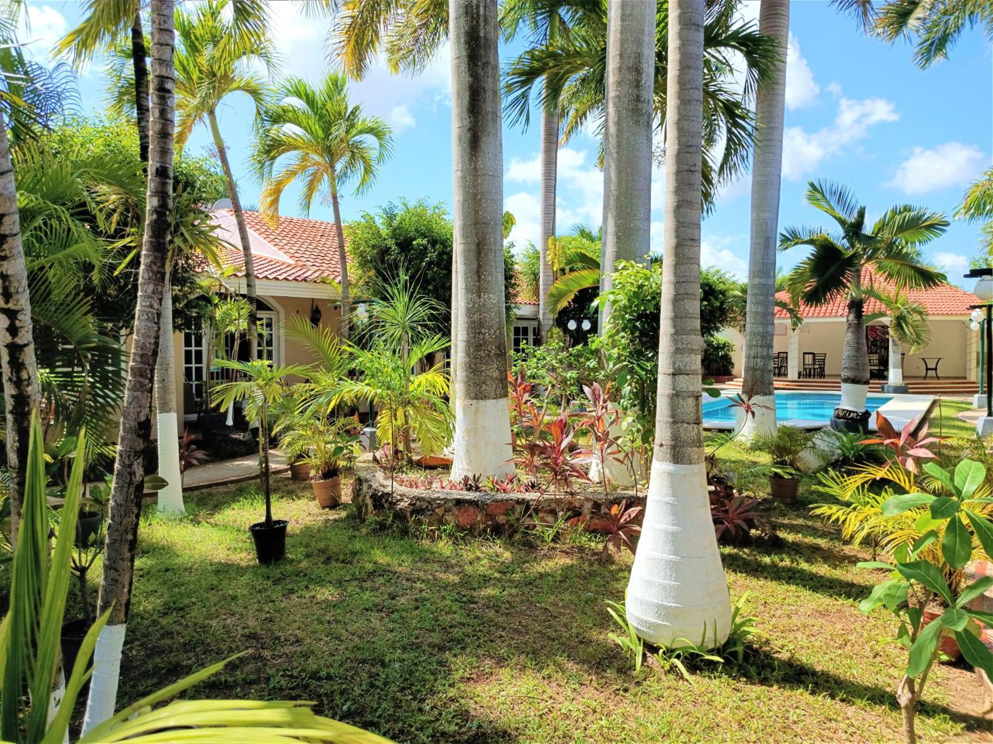 Deluxe Studio