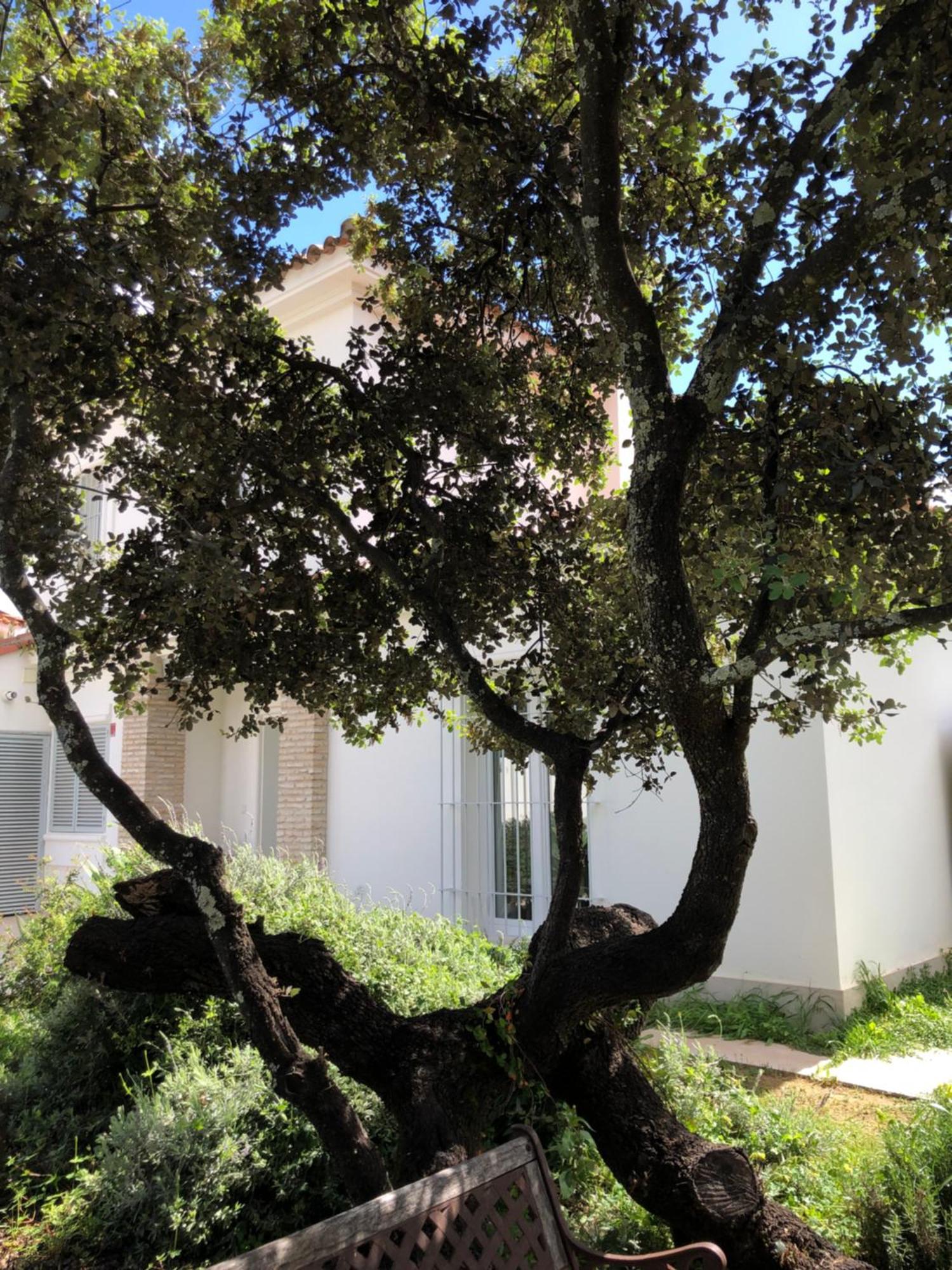 Villa de 3 Quartos
