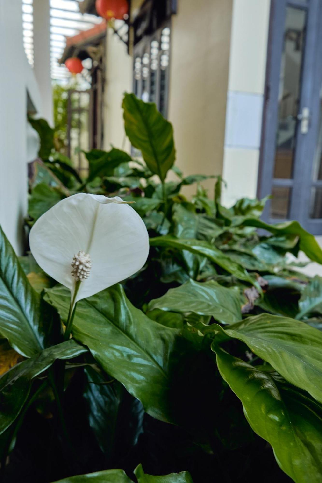 Superior Double or Twin Room,1624328634:JPEG