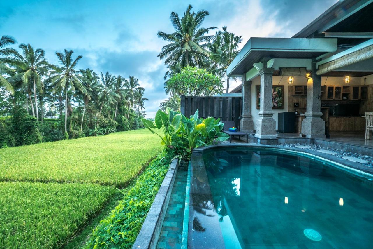 One-Bedroom Private Pool Villa