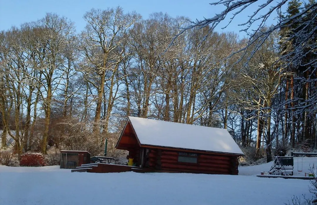Lyne View, Log Cabin-1