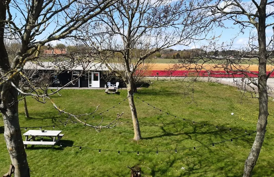 Chalet Egmond-1