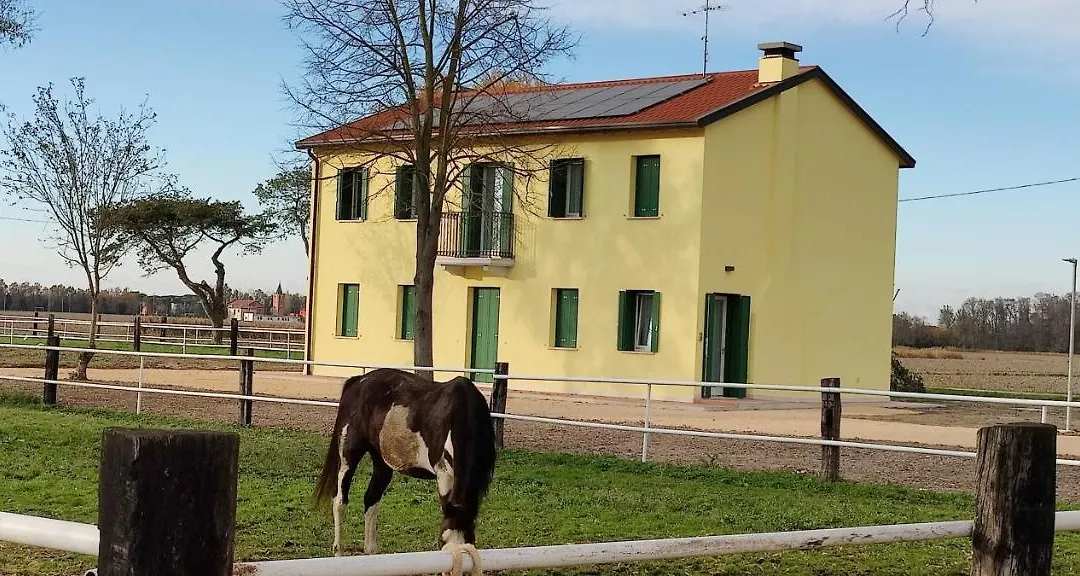 Brussa Horse Oasi-1