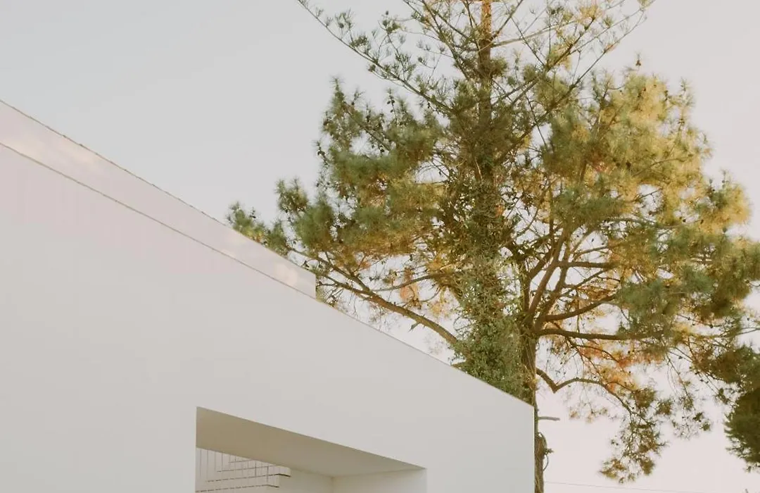 Casa Modesta-1