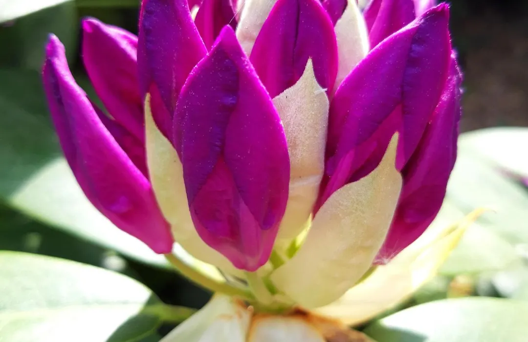 Vakantiehuis op top locatie #Ommen-1