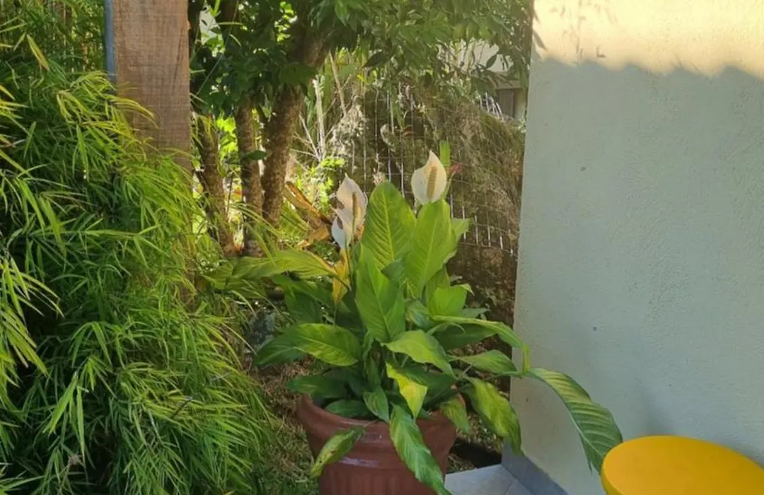 Chales Da Serra-1