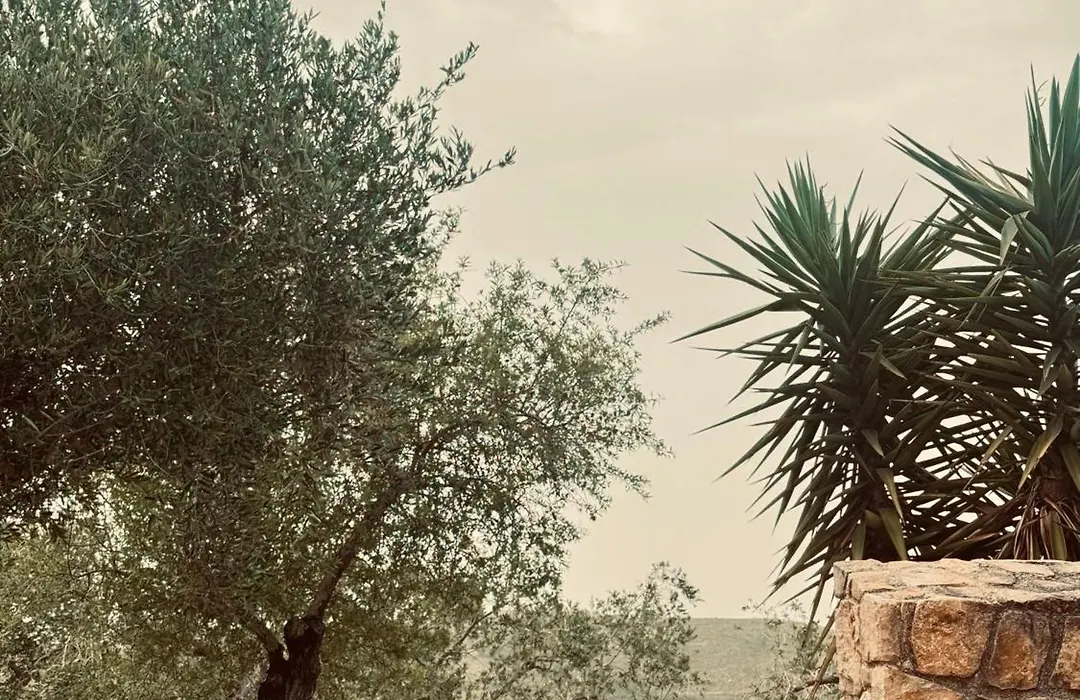 Villa Cattleya-1