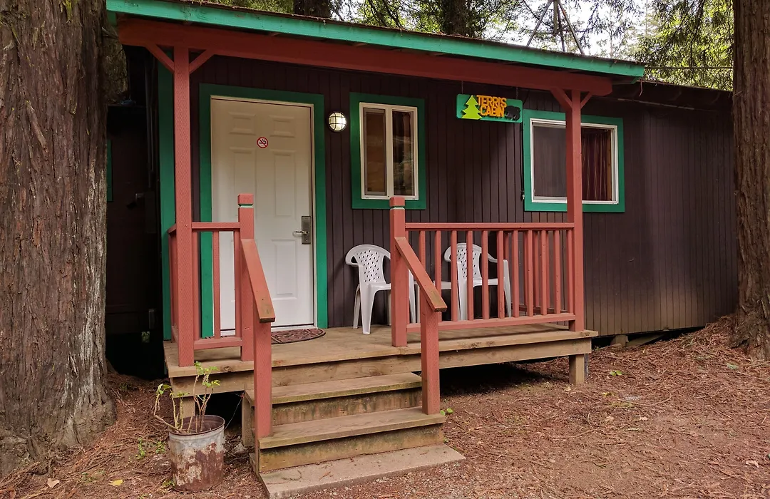 Emerald Forest Cabins-1