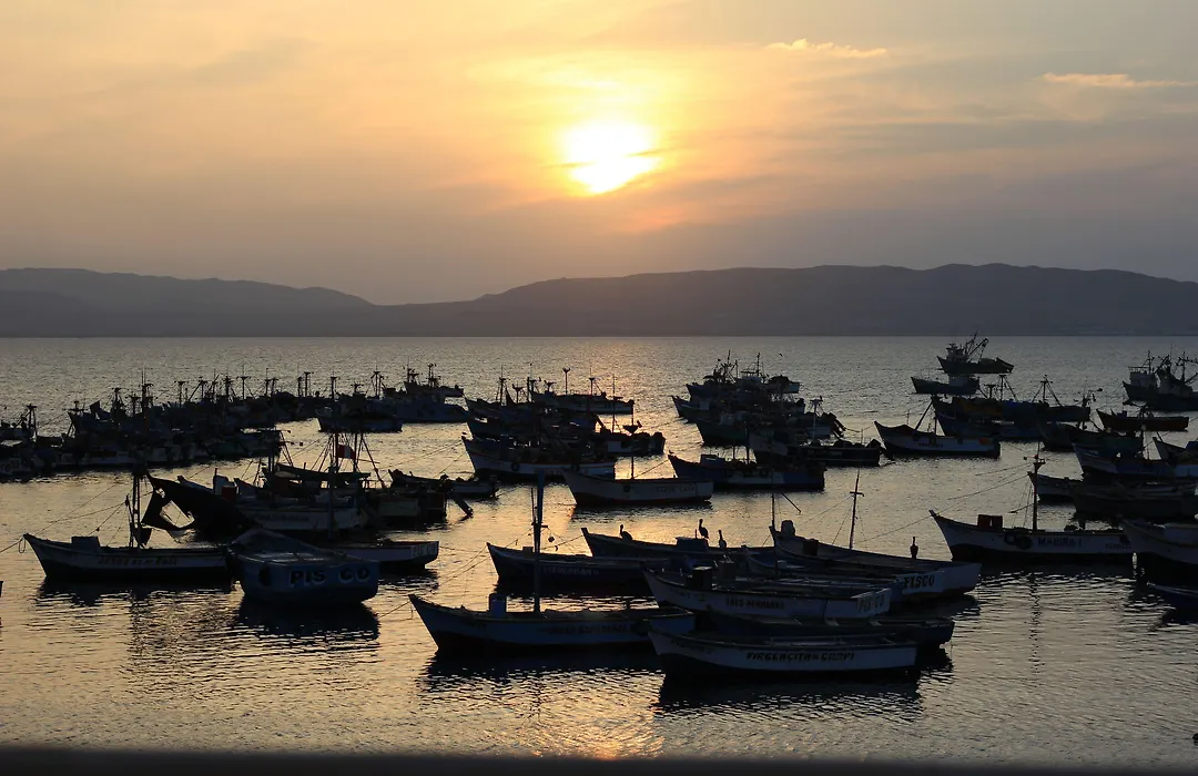 Bamboo Lodge Paracas-1