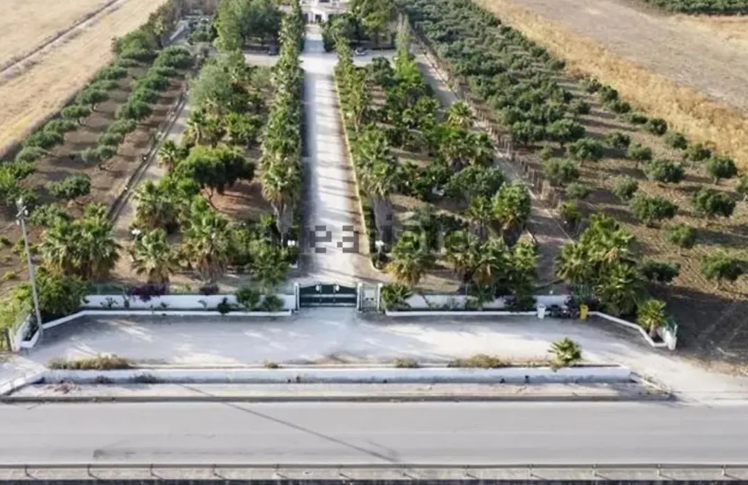 Villa delle Palme Delfina - parking Piscina a 10 minuti dal centro e dal mare-1