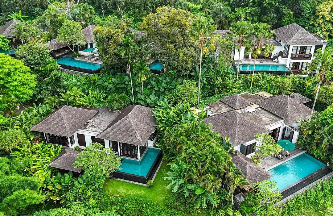 The Damai-1
