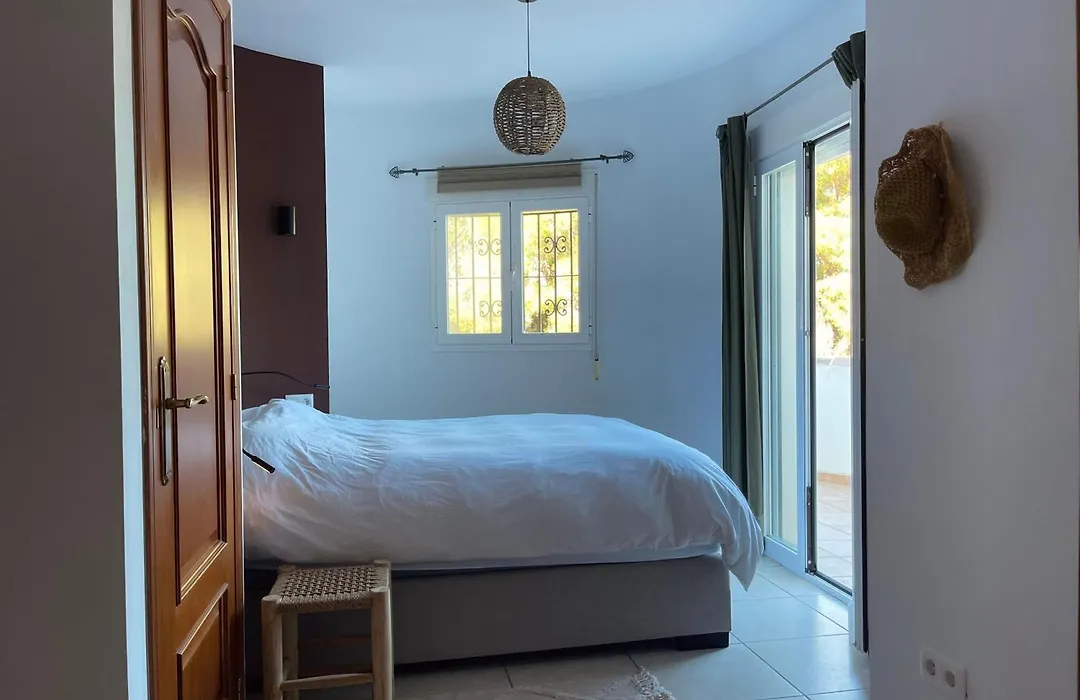 Palmera-1