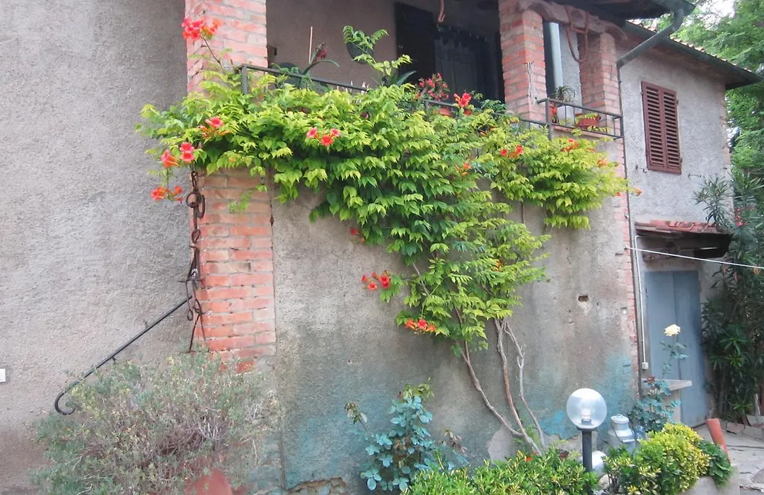Agriturismo Il Colto-1