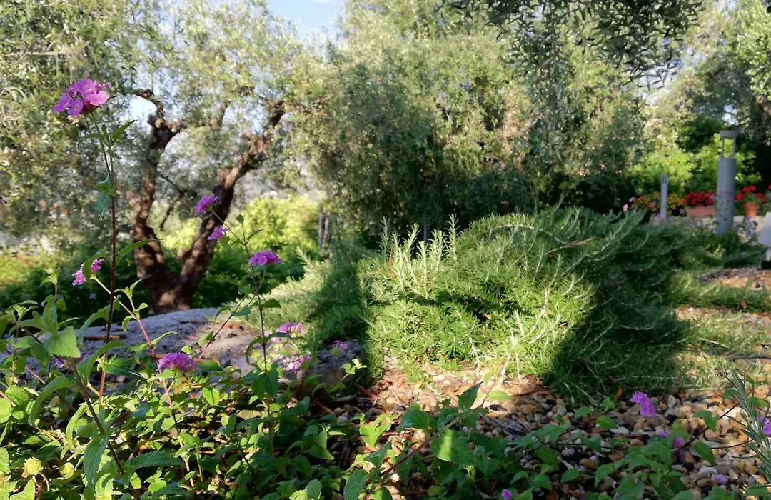 Sugli Allori-1