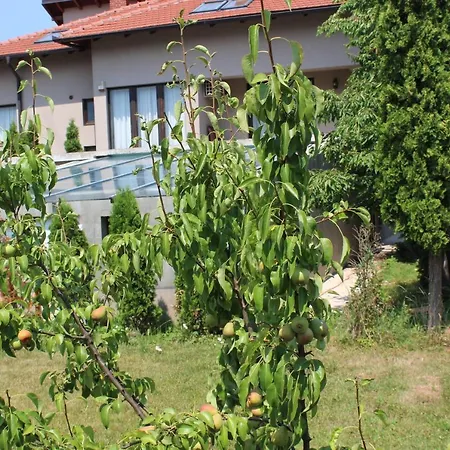 Villa Cengic-3