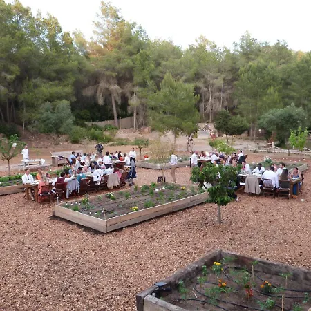 Ipunga Ibiza - Adults Only-3