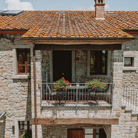 Terra di Cortona-2