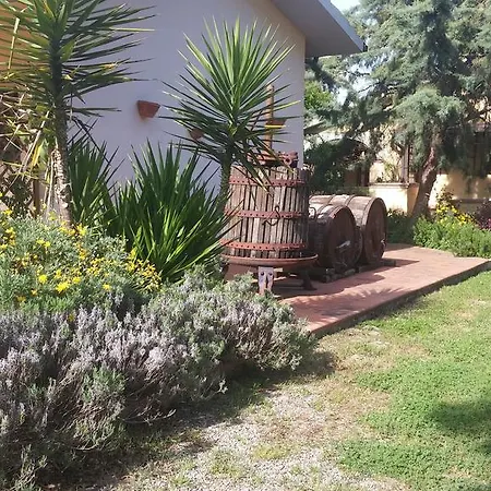 Agriturismo Pettinari-3