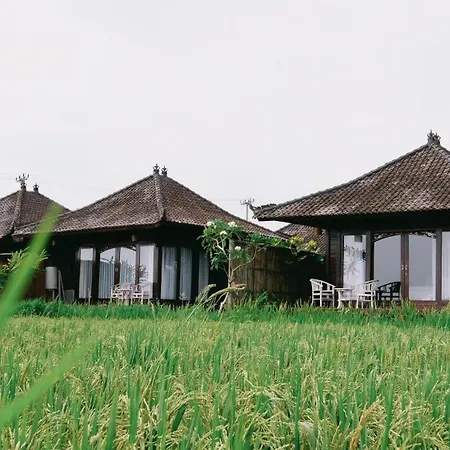 Kayangan Villa Ubud-2