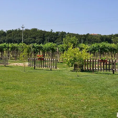 Agriturismo Ai Ciliegi-3