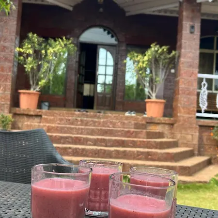 Sai Leela Bungalow - Villa With Private Pool-3