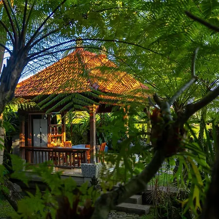 Prabhu Ubud Villa-2
