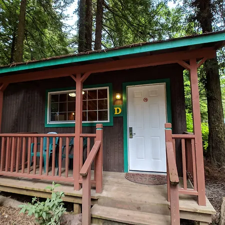 Emerald Forest Cabins-2