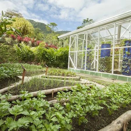 Arenal Waterfall Lodge Villas-2