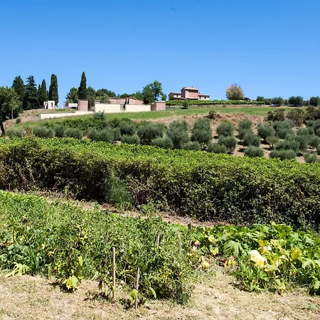 Podere Caldaruccio La Pineta-3
