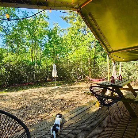 Safari Retreat "Explorer Tents"-2
