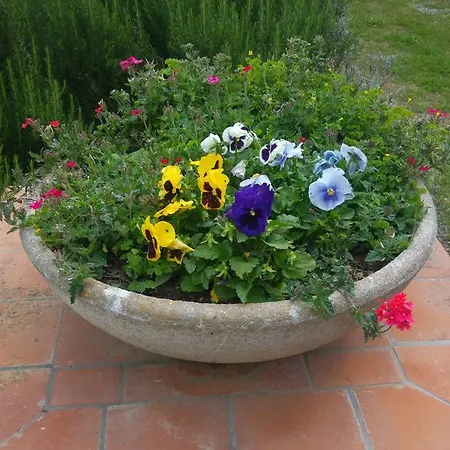 Agriturismo Pettinari-2