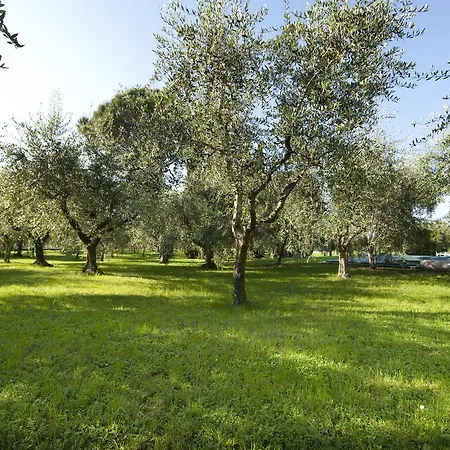 Agrigturismo Monte Cicogna-2
