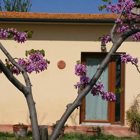 Agriturismo Diciocco-2