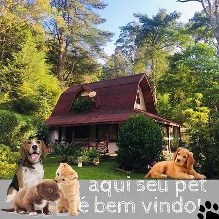 Casa na Floresta em Campos do Jordao-2