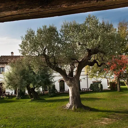 Villa Coralia Country House-2