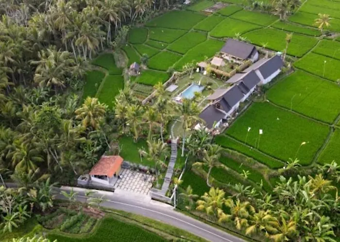 Hôtel avec piscine: Green Coconut Cottage