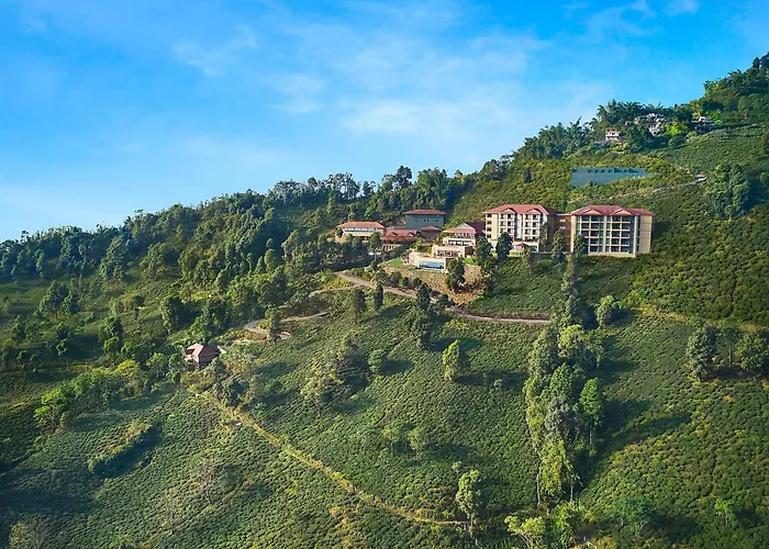 Spa Hotel: Taj Chia Kutir Resort & Spa Darjeeling