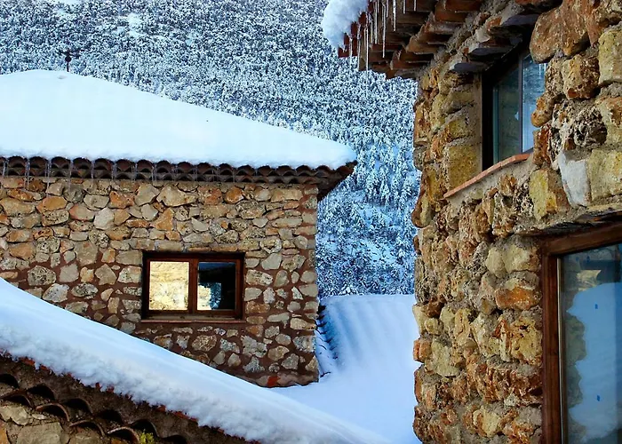 Perros hoteles Royo Guarde
