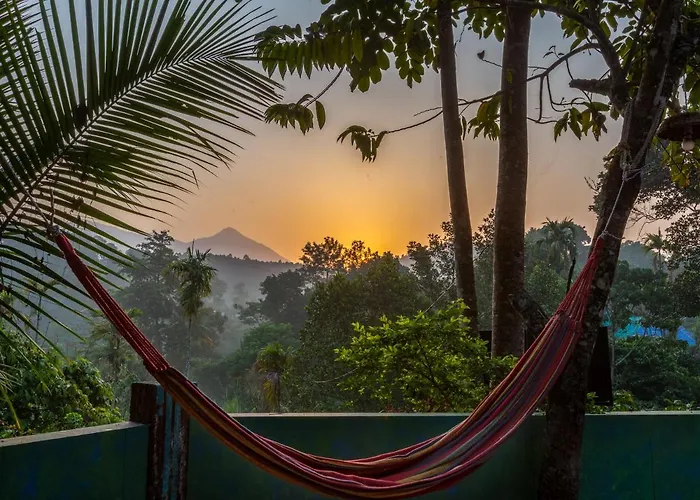 Dog friendly hotels Gostops Munnar
