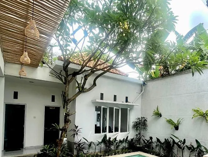  Best Canggu