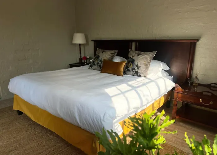 Cheap hotel: Chocolate Orchid
