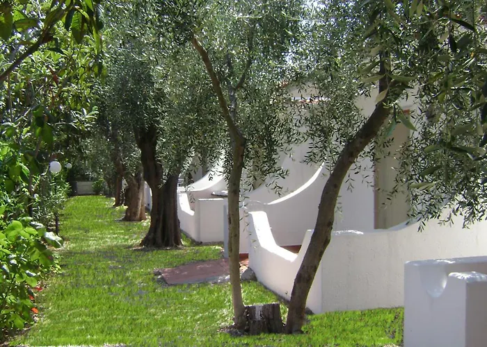 Hotel sulla spiaggia: Hotel Il Melograno