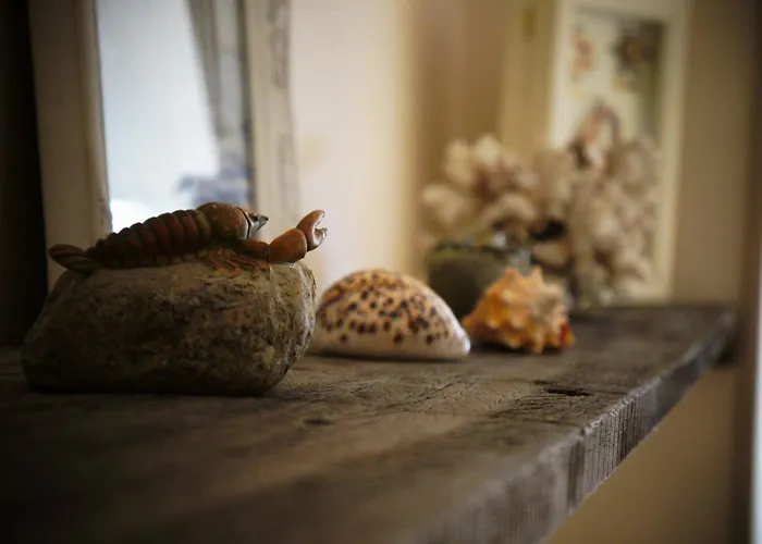B&B Oesterhoeve