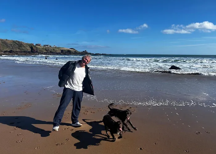 Pet Friendly hotel: Belmont House Boutique - The Kingsley Collection