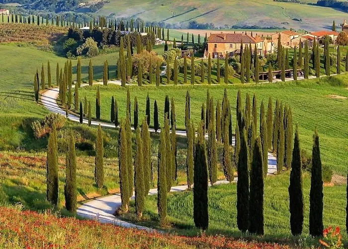 Baccoleno