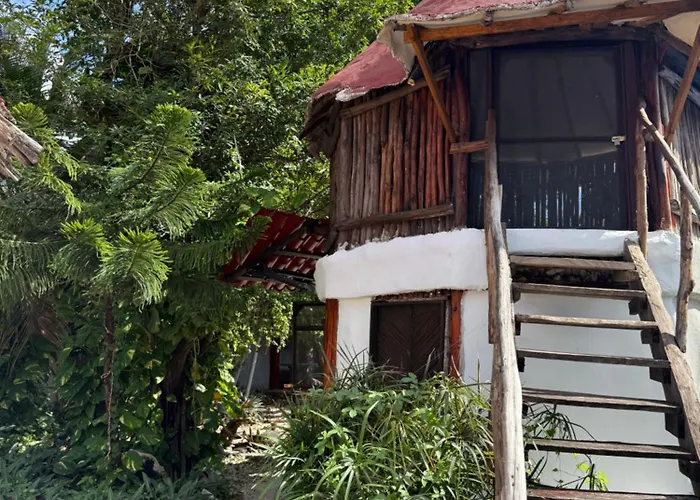 Tree House