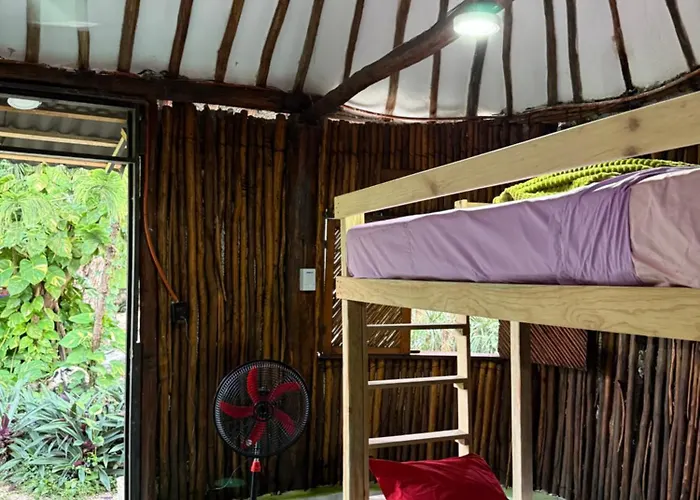 Tree House