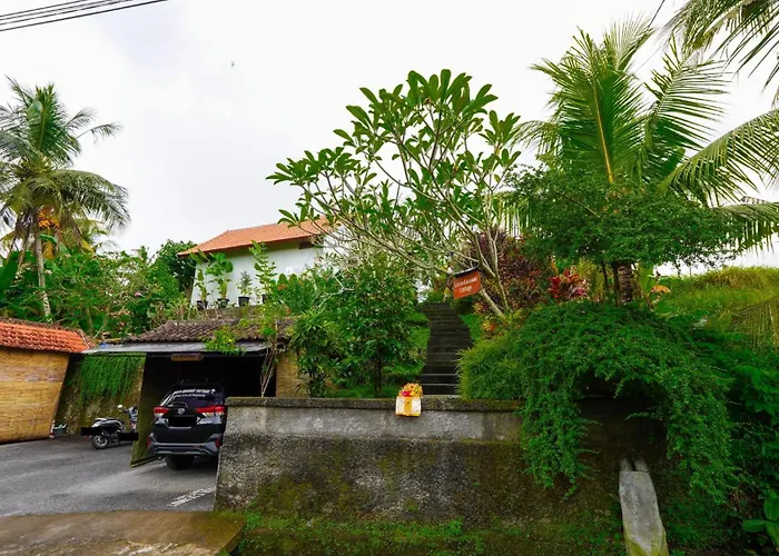 Hôtel avec piscine: Green Coconut Cottage
